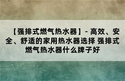 【强排式燃气热水器】- 高效、安全、舒适的家用热水器选择 强排式燃气热水器什么牌子好